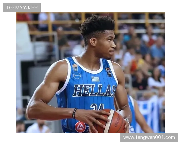 深圳篮球队实力强劲荣登篮球实力排行榜第十名