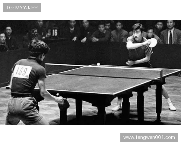 南京乒乓球队战术解析与控制体系的深度剖析与应用探讨 南京乒乓球队战术解析与控制体系的深度剖析与应用探讨